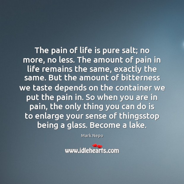 The pain of life is pure salt; no more, no less. The Image