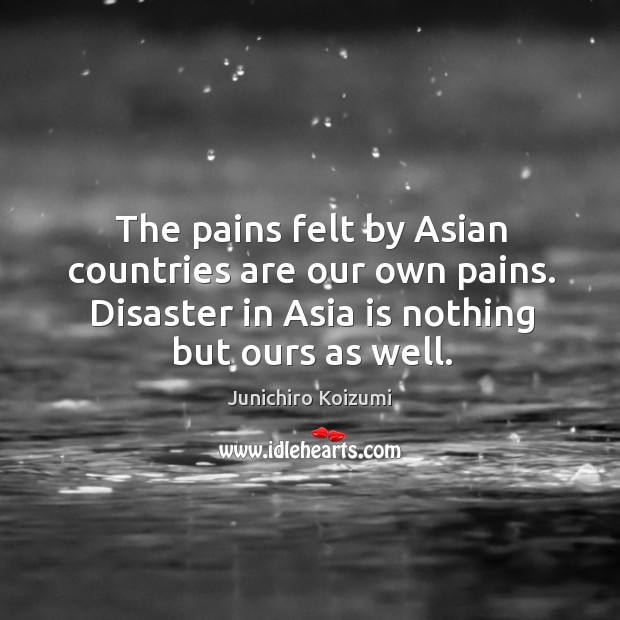 The pains felt by asian countries are our own pains. Disaster in asia is nothing but ours as well. Image