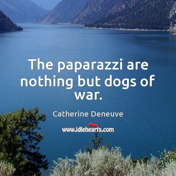 The paparazzi are nothing but dogs of war. Catherine Deneuve Picture Quote