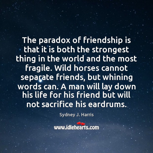 The paradox of friendship is that it is both the strongest thing Sydney J. Harris Picture Quote