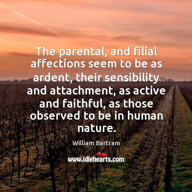 The parental, and filial affections seem to be as ardent, their sensibility and attachment William Bartram Picture Quote