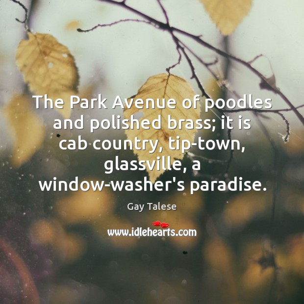 The Park Avenue of poodles and polished brass; it is cab country, Image