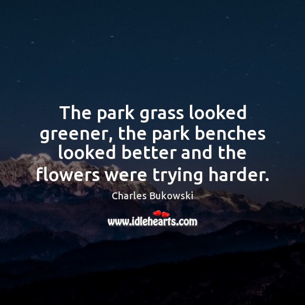 The park grass looked greener, the park benches looked better and the Charles Bukowski Picture Quote