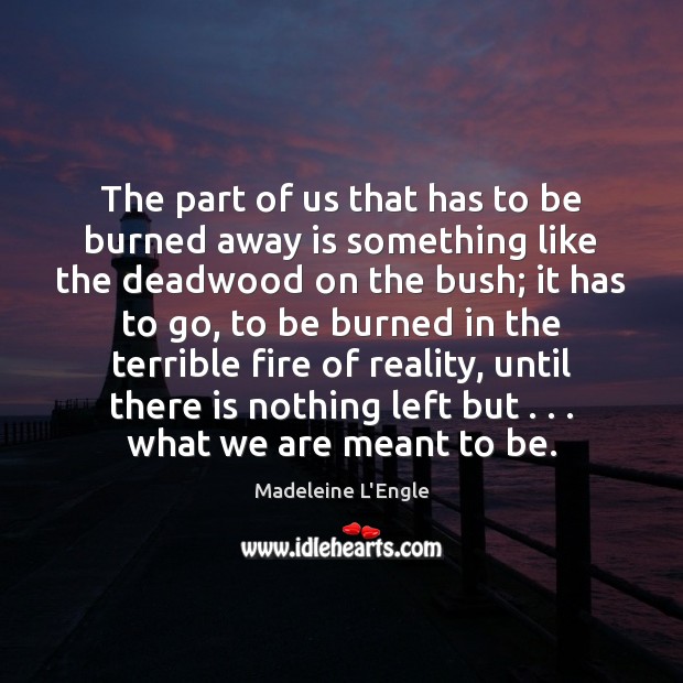The part of us that has to be burned away is something Madeleine L’Engle Picture Quote