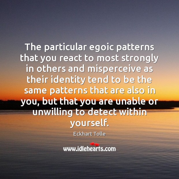 The particular egoic patterns that you react to most strongly in others Eckhart Tolle Picture Quote