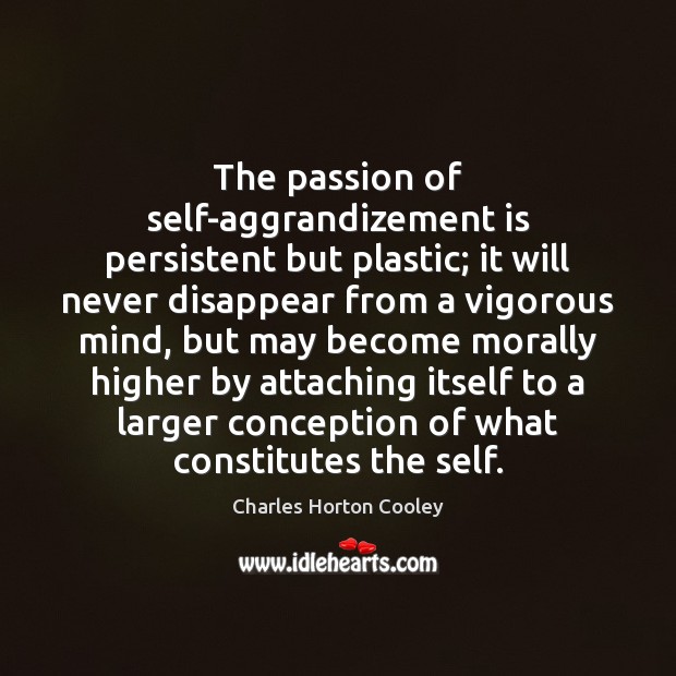 The passion of self-aggrandizement is persistent but plastic; it will never disappear Charles Horton Cooley Picture Quote