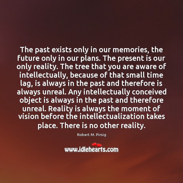 The past exists only in our memories, the future only in our Robert M. Pirsig Picture Quote