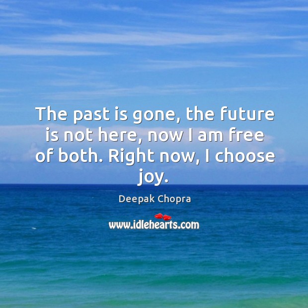 The past is gone, the future is not here, now I am free of both. Right now, I choose joy. Past Quotes Image