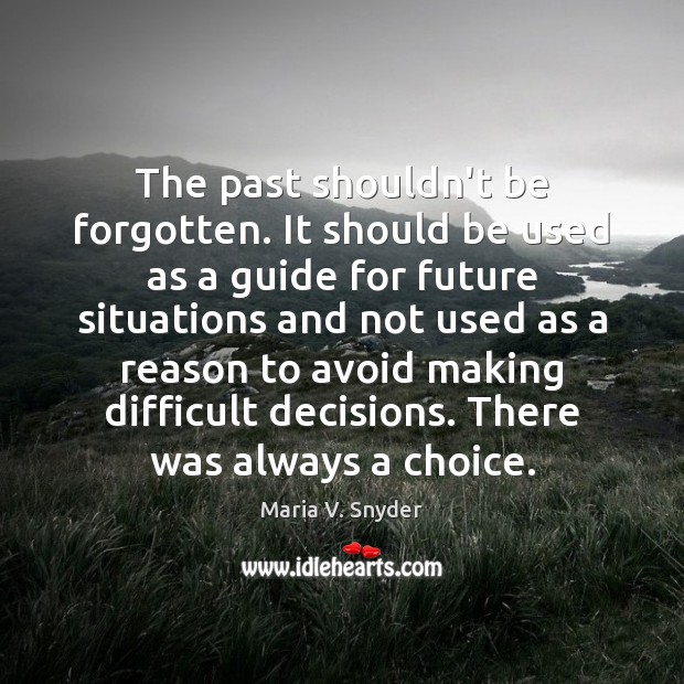 The past shouldn’t be forgotten. It should be used as a guide Maria V. Snyder Picture Quote