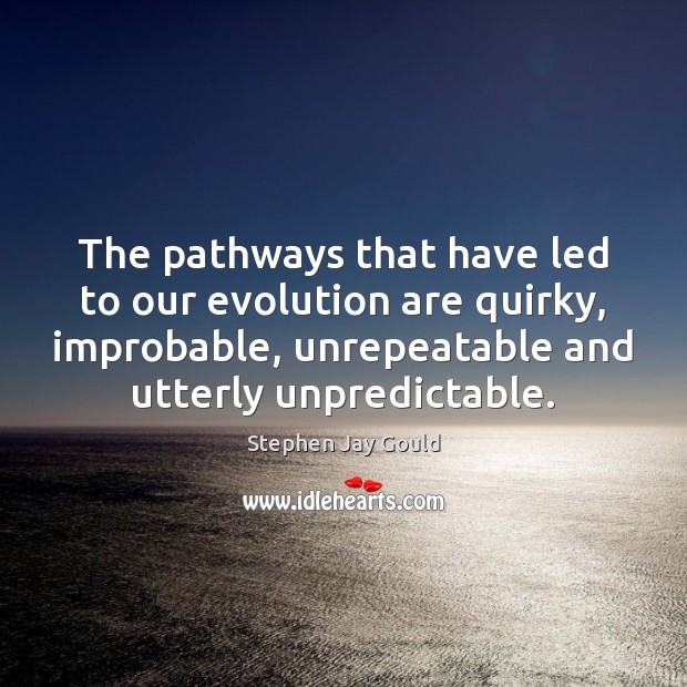 The pathways that have led to our evolution are quirky, improbable, unrepeatable Stephen Jay Gould Picture Quote