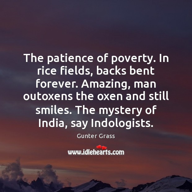 The patience of poverty. In rice fields, backs bent forever. Amazing, man Gunter Grass Picture Quote
