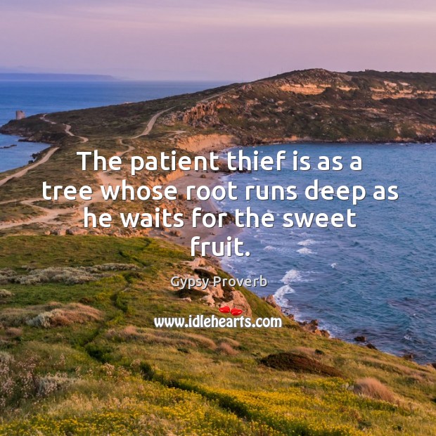 The patient thief is as a tree whose root runs deep as he waits for the sweet fruit. Gypsy Proverbs Image