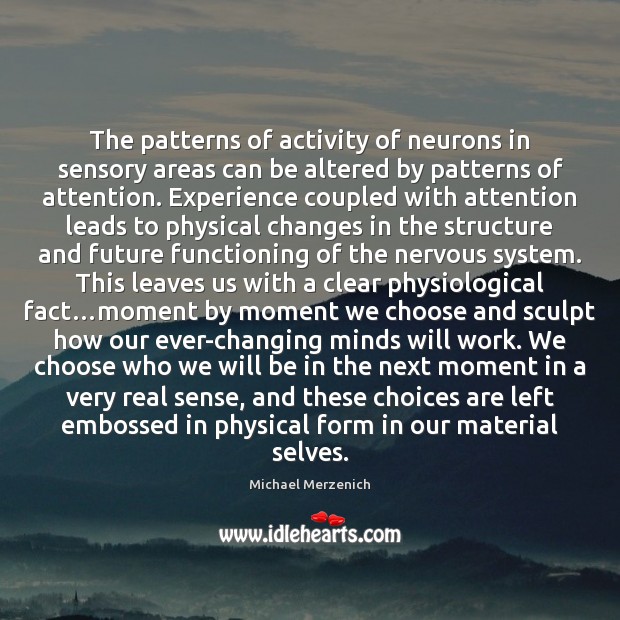 The patterns of activity of neurons in sensory areas can be altered Michael Merzenich Picture Quote