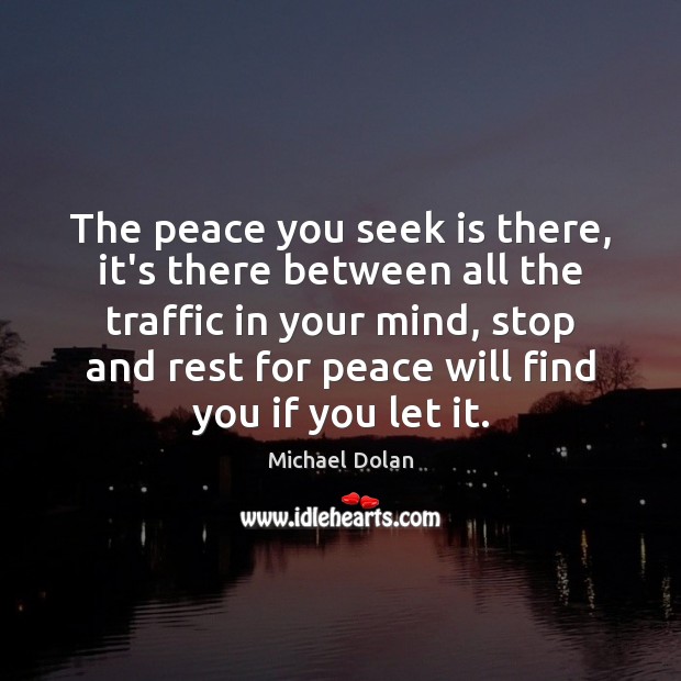 The peace you seek is there, it’s there between all the traffic Michael Dolan Picture Quote