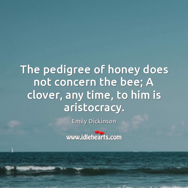 The pedigree of honey does not concern the bee; A clover, any time, to him is aristocracy. Emily Dickinson Picture Quote