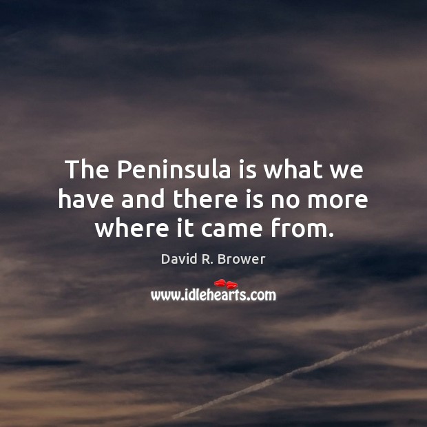 The Peninsula is what we have and there is no more where it came from. David R. Brower Picture Quote