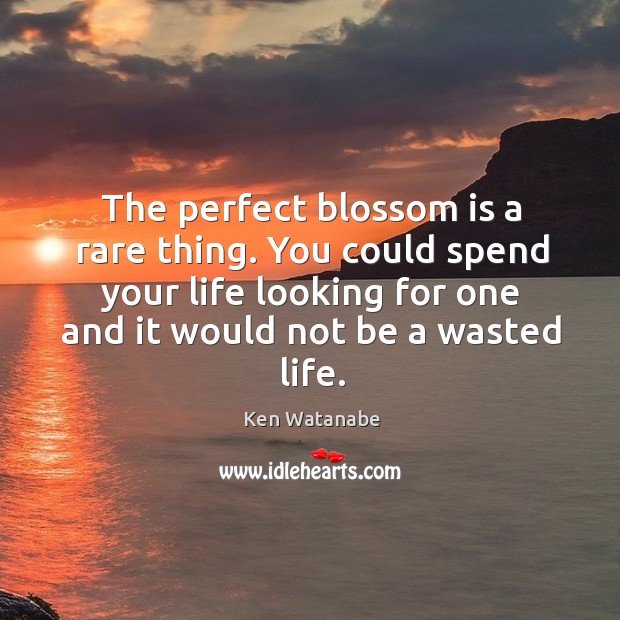 The perfect blossom is a rare thing. You could spend your life Ken Watanabe Picture Quote