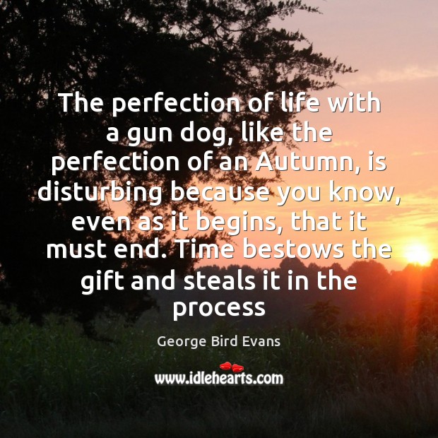The perfection of life with a gun dog, like the perfection of George Bird Evans Picture Quote