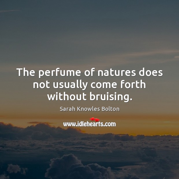 The perfume of natures does not usually come forth without bruising. Sarah Knowles Bolton Picture Quote