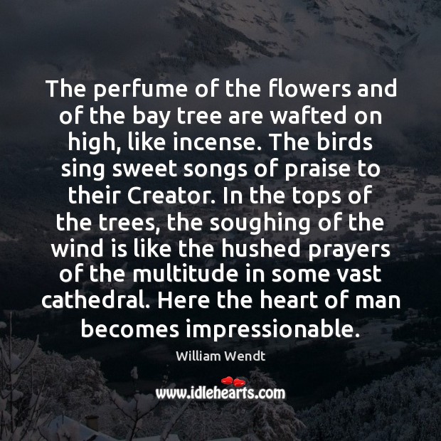 The perfume of the flowers and of the bay tree are wafted 