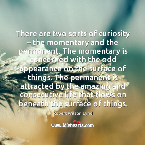 The permanent is attracted by the amazing and consecutive life that flows on beneath the surface of things. Image