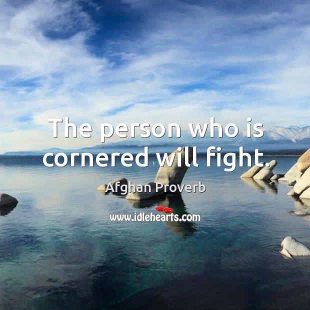 The person who is cornered will fight. Afghan Proverbs Image