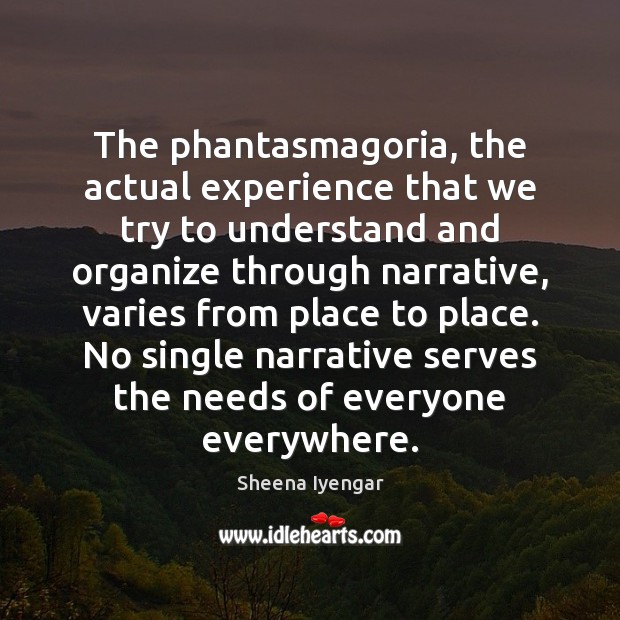 The phantasmagoria, the actual experience that we try to understand and organize Sheena Iyengar Picture Quote