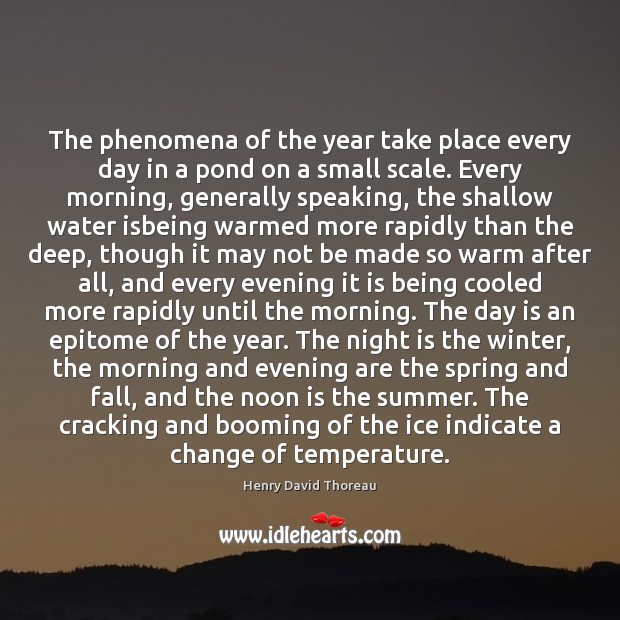 The phenomena of the year take place every day in a pond Summer Quotes Image