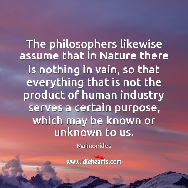 The philosophers likewise assume that in Nature there is nothing in vain, Maimonides Picture Quote