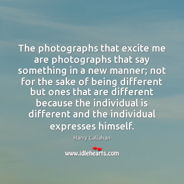 The photographs that excite me are photographs that say something in a Harry Callahan Picture Quote