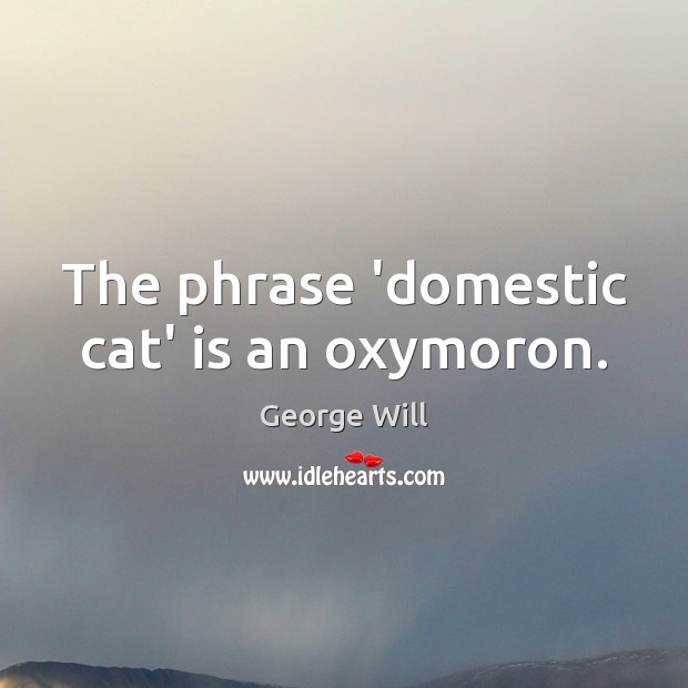 The phrase ‘domestic cat’ is an oxymoron. George Will Picture Quote