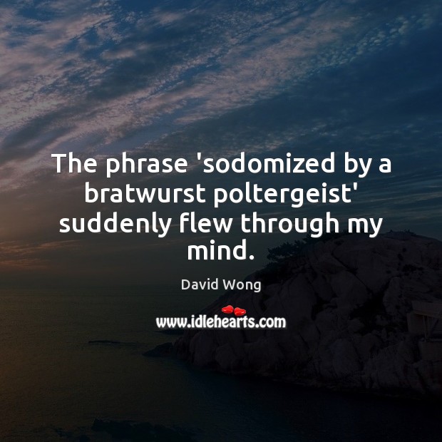 The phrase ‘sodomized by a bratwurst poltergeist’ suddenly flew through my mind. David Wong Picture Quote