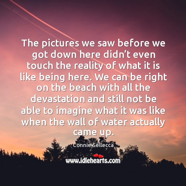 The pictures we saw before we got down here didn’t even touch the reality Connie Sellecca Picture Quote