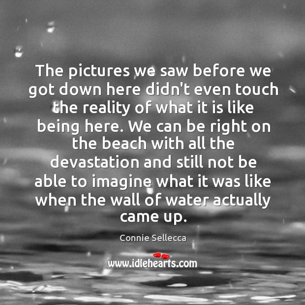 The pictures we saw before we got down here didn’t even touch Connie Sellecca Picture Quote