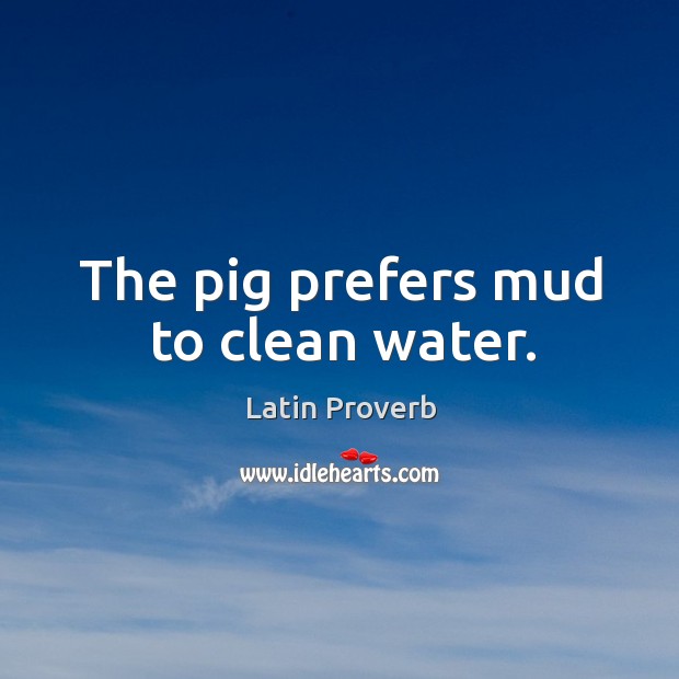 The pig prefers mud to clean water. Image