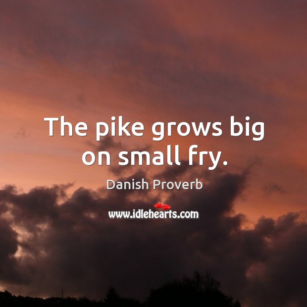 The pike grows big on small fry. Danish Proverbs Image