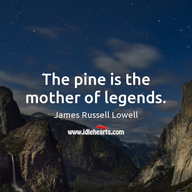 The pine is the mother of legends. James Russell Lowell Picture Quote