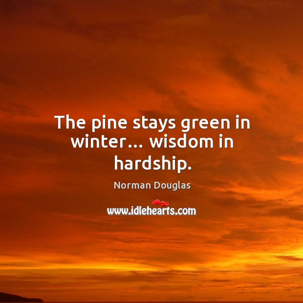 The pine stays green in winter… wisdom in hardship. Norman Douglas Picture Quote