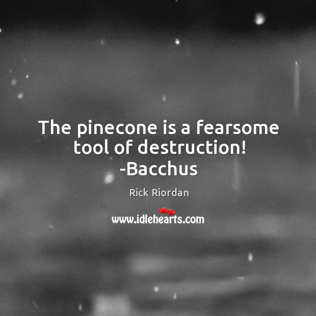 The pinecone is a fearsome tool of destruction! -Bacchus Image