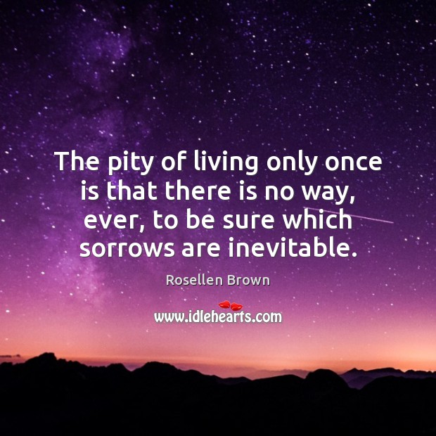 The pity of living only once is that there is no way, Rosellen Brown Picture Quote
