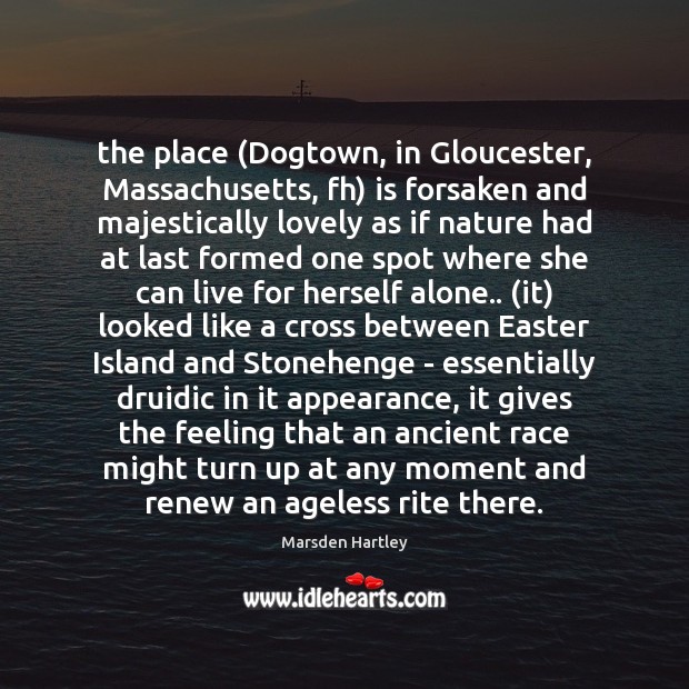 The place (Dogtown, in Gloucester, Massachusetts, fh) is forsaken and majestically lovely Image