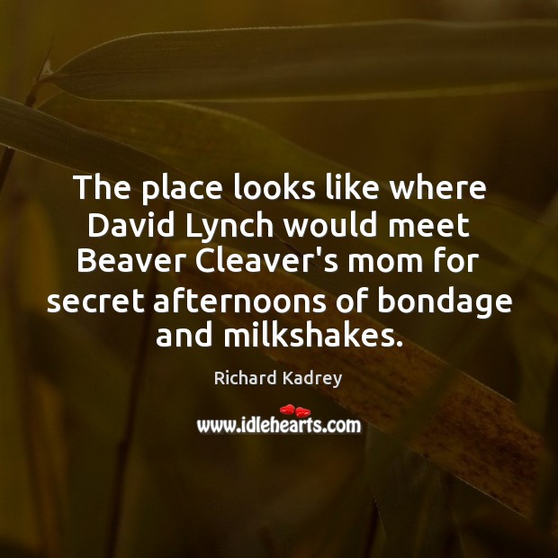 The place looks like where David Lynch would meet Beaver Cleaver’s mom Richard Kadrey Picture Quote