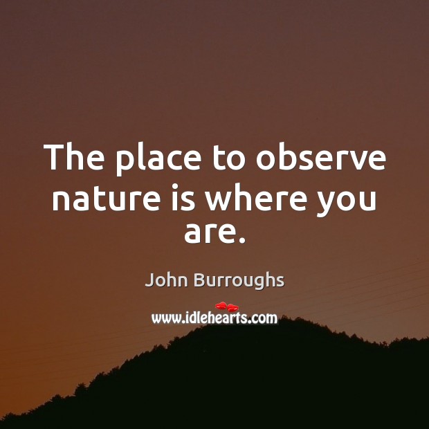 The place to observe nature is where you are. John Burroughs Picture Quote