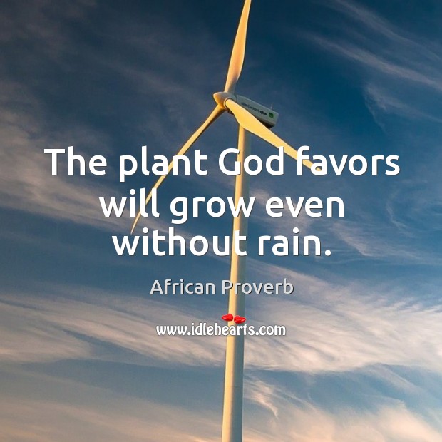 The plant God favors will grow even without rain. Image