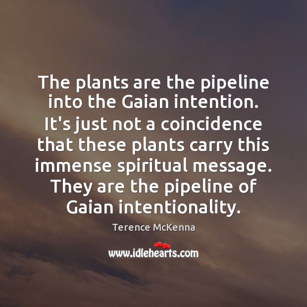 The plants are the pipeline into the Gaian intention. It’s just not Terence McKenna Picture Quote