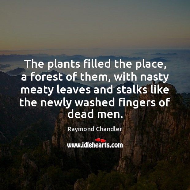 The plants filled the place, a forest of them, with nasty meaty Raymond Chandler Picture Quote