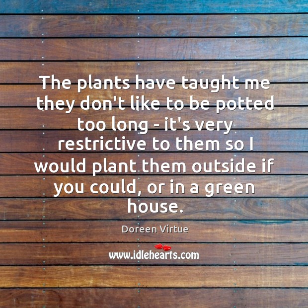 The plants have taught me they don’t like to be potted too Doreen Virtue Picture Quote
