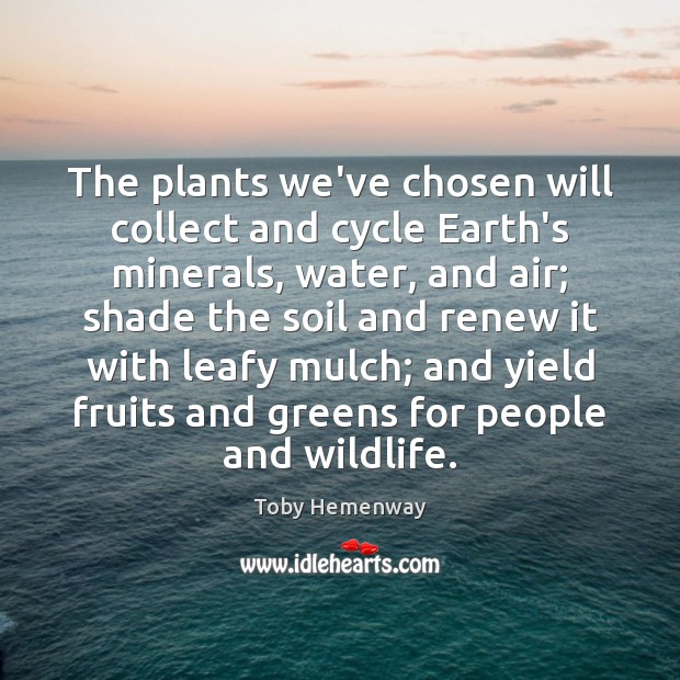 The plants we’ve chosen will collect and cycle Earth’s minerals, water, and Toby Hemenway Picture Quote