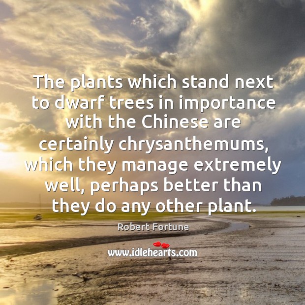 The plants which stand next to dwarf trees in importance with the chinese Robert Fortune Picture Quote