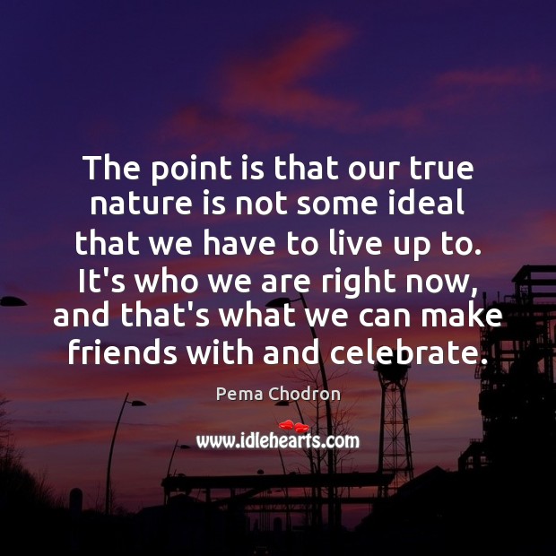 The point is that our true nature is not some ideal that Celebrate Quotes Image